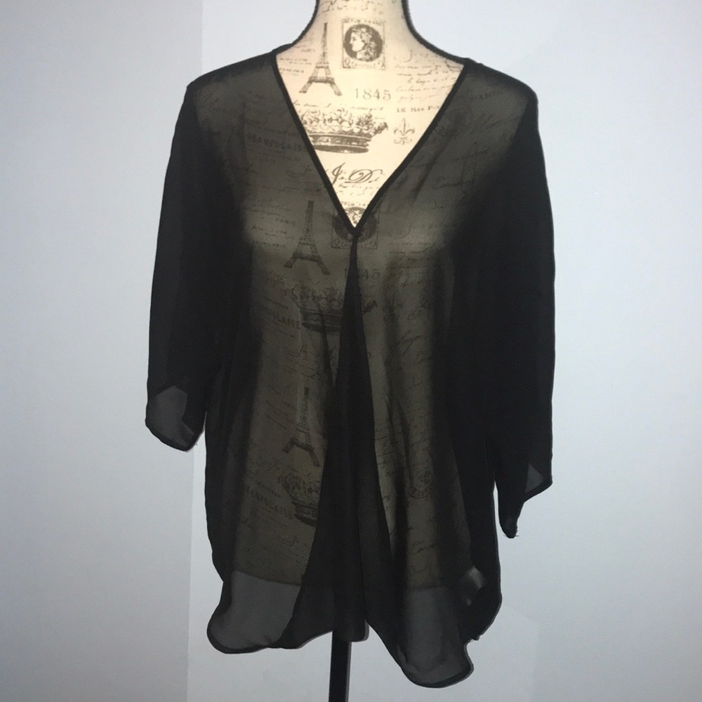 💥SALE💥 🔴2/$10 Metaphor Black Sheer V-Neck Top